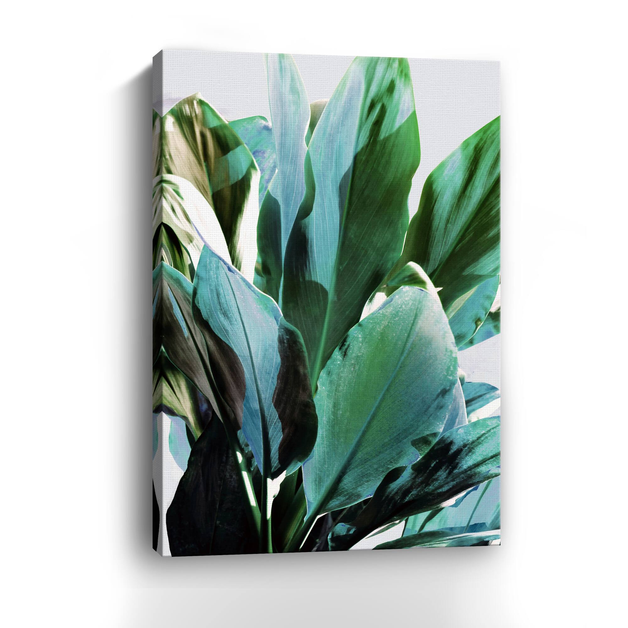 Lumaprints Green Leaves III Giclée Canvas